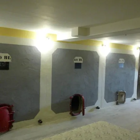 Maison d'hôtes Les Bacchusiennes Saint-Georges-sur-Layon