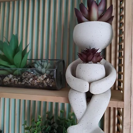 Le Logis Du Livier Saint-Georges-sur-Layon