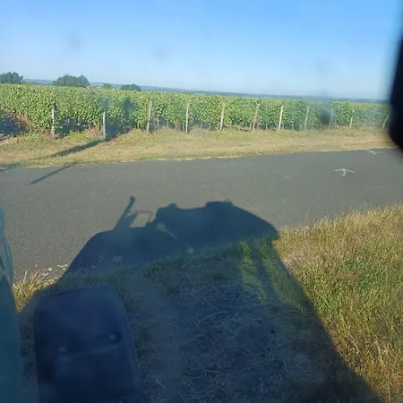 Les Bacchusiennes Maison d'hôtes 3*