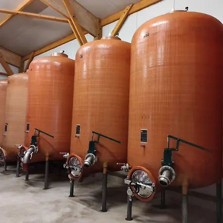 Les Bacchusiennes 3* Saint-Georges-sur-Layon