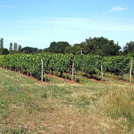 Le Logis Du Livier