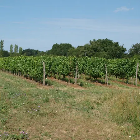 Maison d'hôtes Les Bacchusiennes
