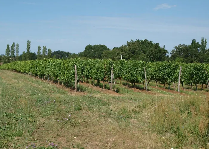 Le Logis Du Livier 3*