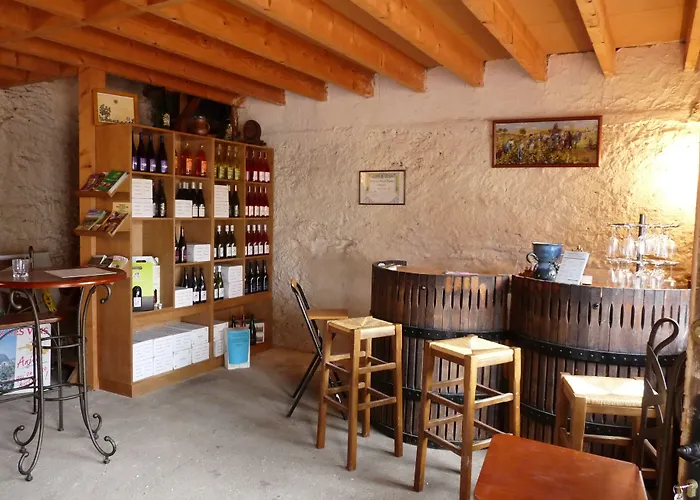 招待所 Le Logis Du Livier 3*