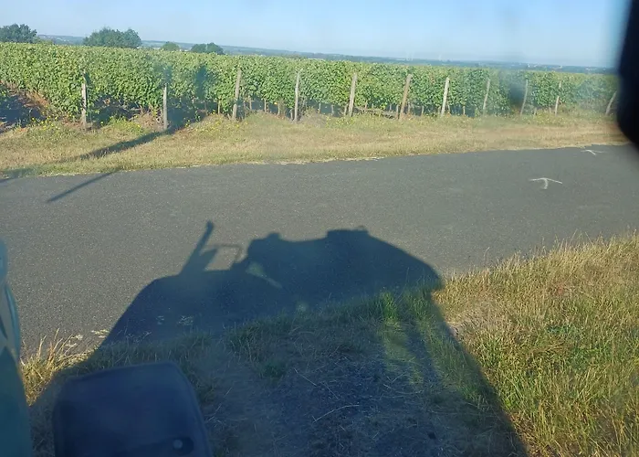 Le Logis Du Livier Gasthof 3*