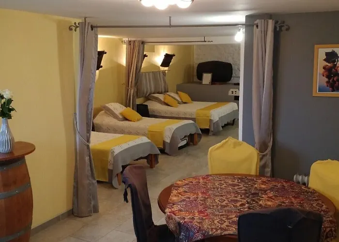 招待所 Le Logis Du Livier Saint-Georges-sur-Layon