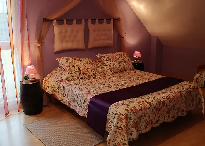 招待所 Le Logis Du Livier Saint-Georges-sur-Layon